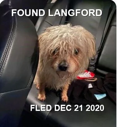 HAPPY ENDINGS - LANGFORD BC - DEC. 21, 2020