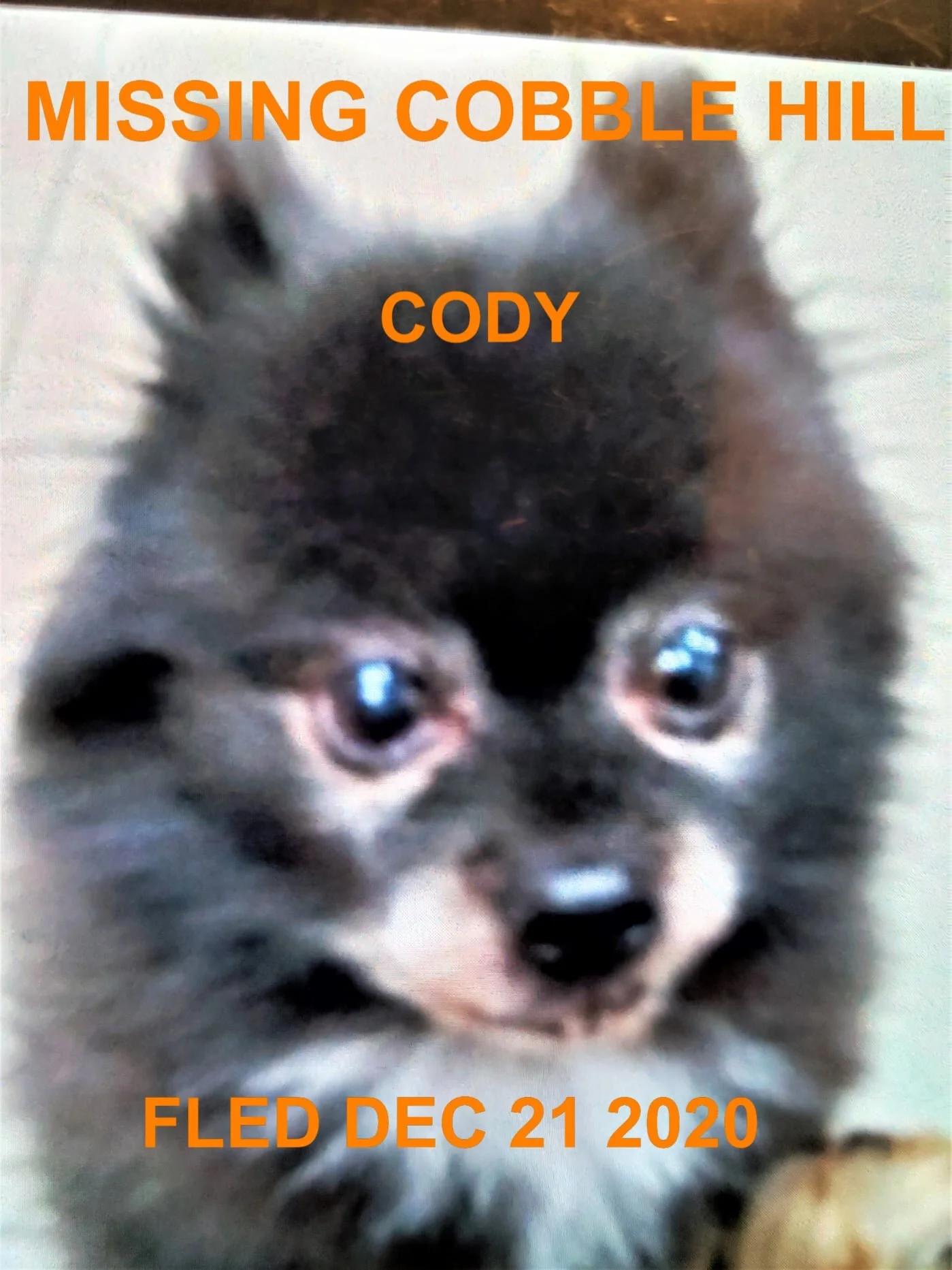 HAPPY ENDINGS - COBBLE HILL BC - DEC 20, 2020