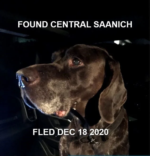 HAPPY ENDINGS - CENTRAL SAANICH BC. - DEC. 18, 2020