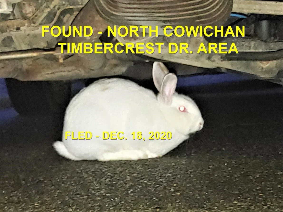 UNRESOLVED - NORTH COWICHAN BC - DEC. 15, 2020