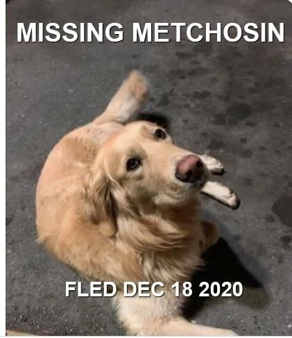 HAPPY ENDINGS - METCHOSIN BC - DEC. 18, 2020