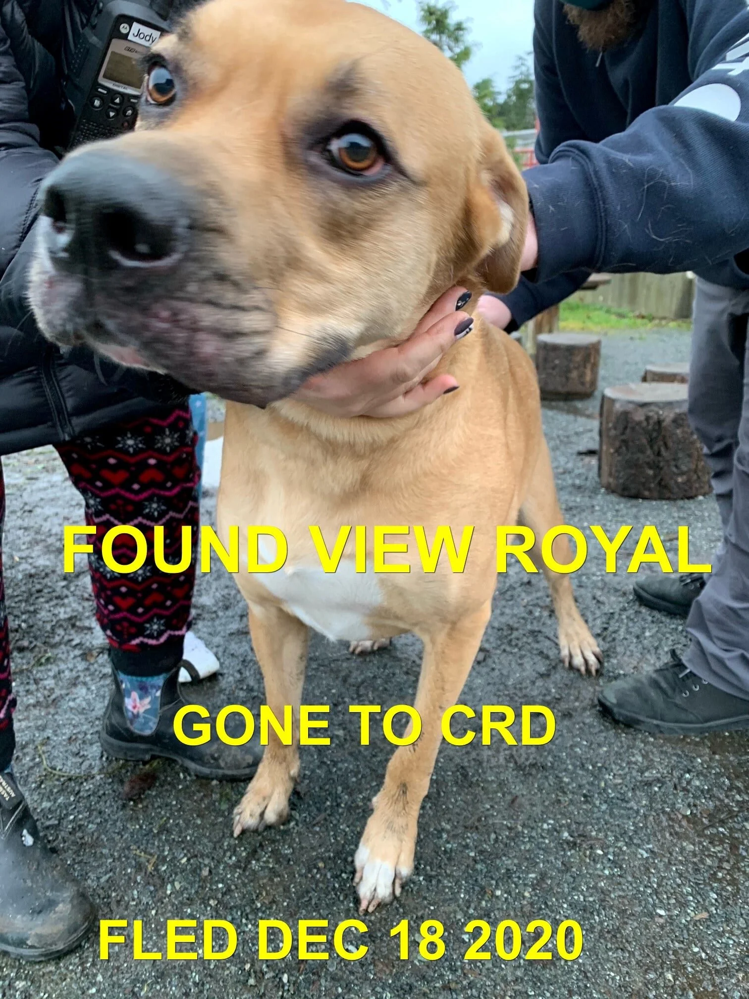 GONE TO SHELTER - VIEW ROYAL BC - DEC. 18, 2020