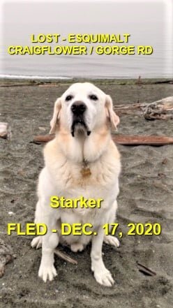 HAPPY ENDINGS - ESQUIMALT BC - DEC 17, 2020