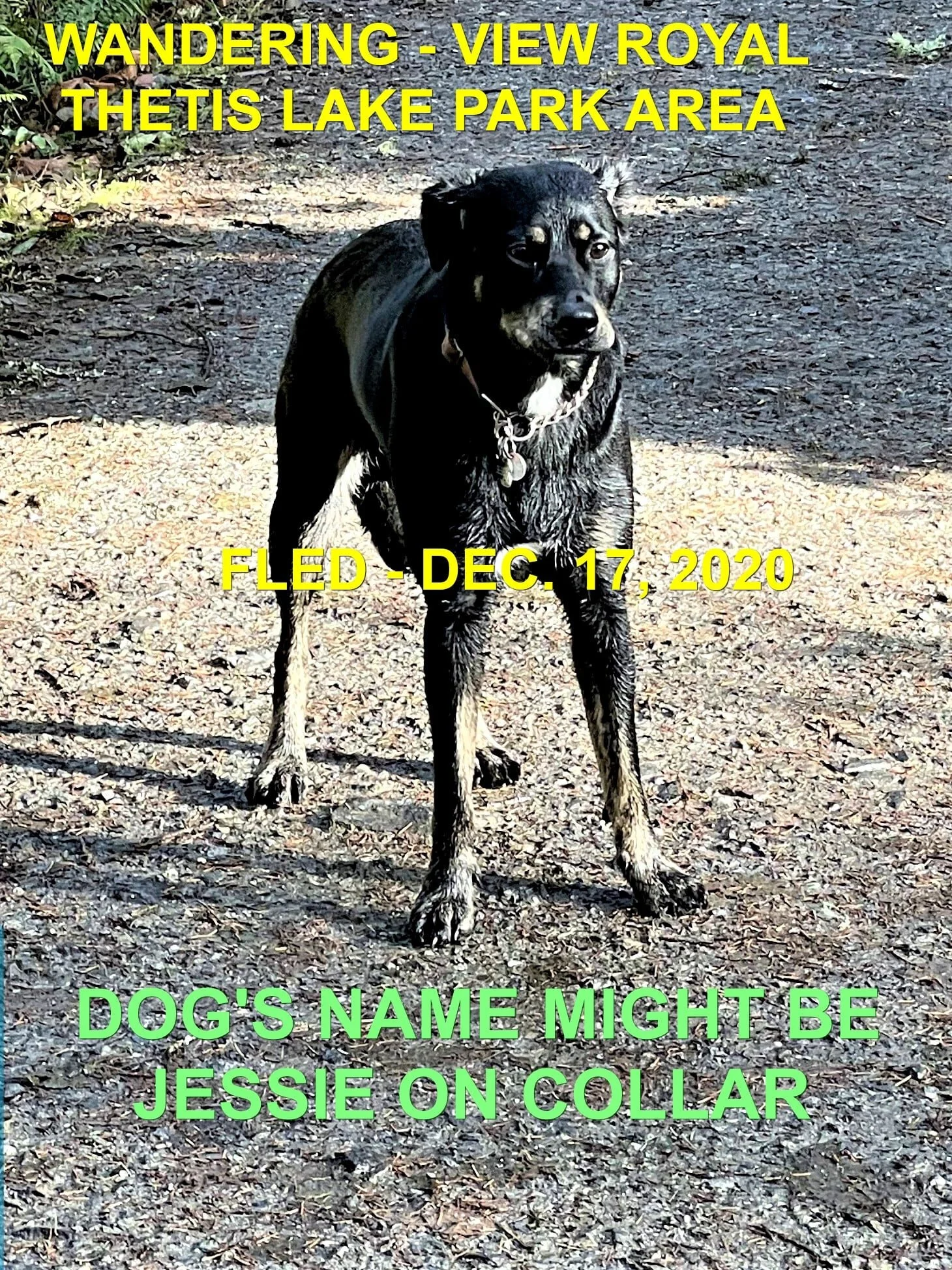 HAPPY ENDINGS - VIEW ROYAL BC - DEC 17, 2020