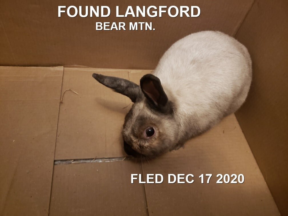 UNRESOLVED - LANGFORD BC - DEC. 17, 2020