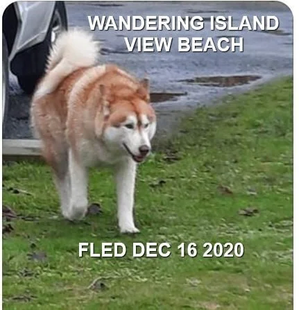 UNRESOLVED - CENTRAL SAANICH BC - DEC. 16, 2020