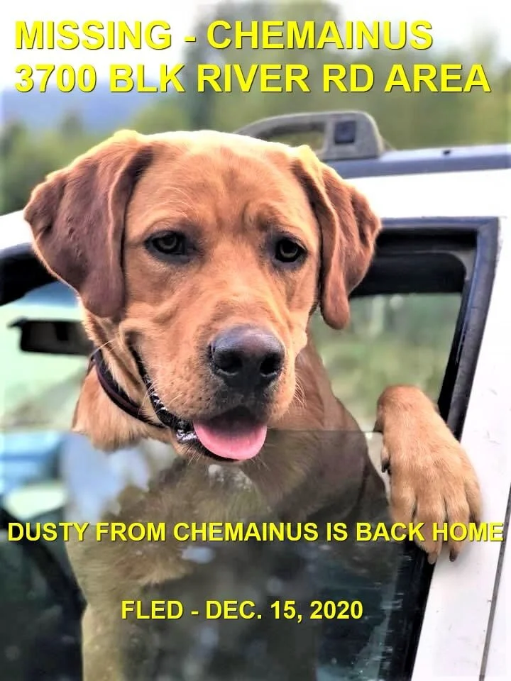 HAPPY ENDING - CHEMAINUS BC - DEC. 15, 2020