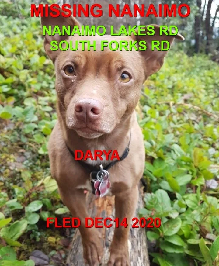 HAPPY ENDINGS - NANAIMO BC - DEC. 14, 2020