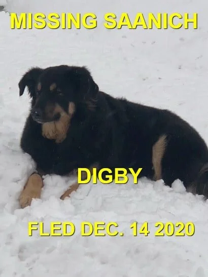 HAPPY ENDINGS - SAANICH BC - DEC 14, 2020