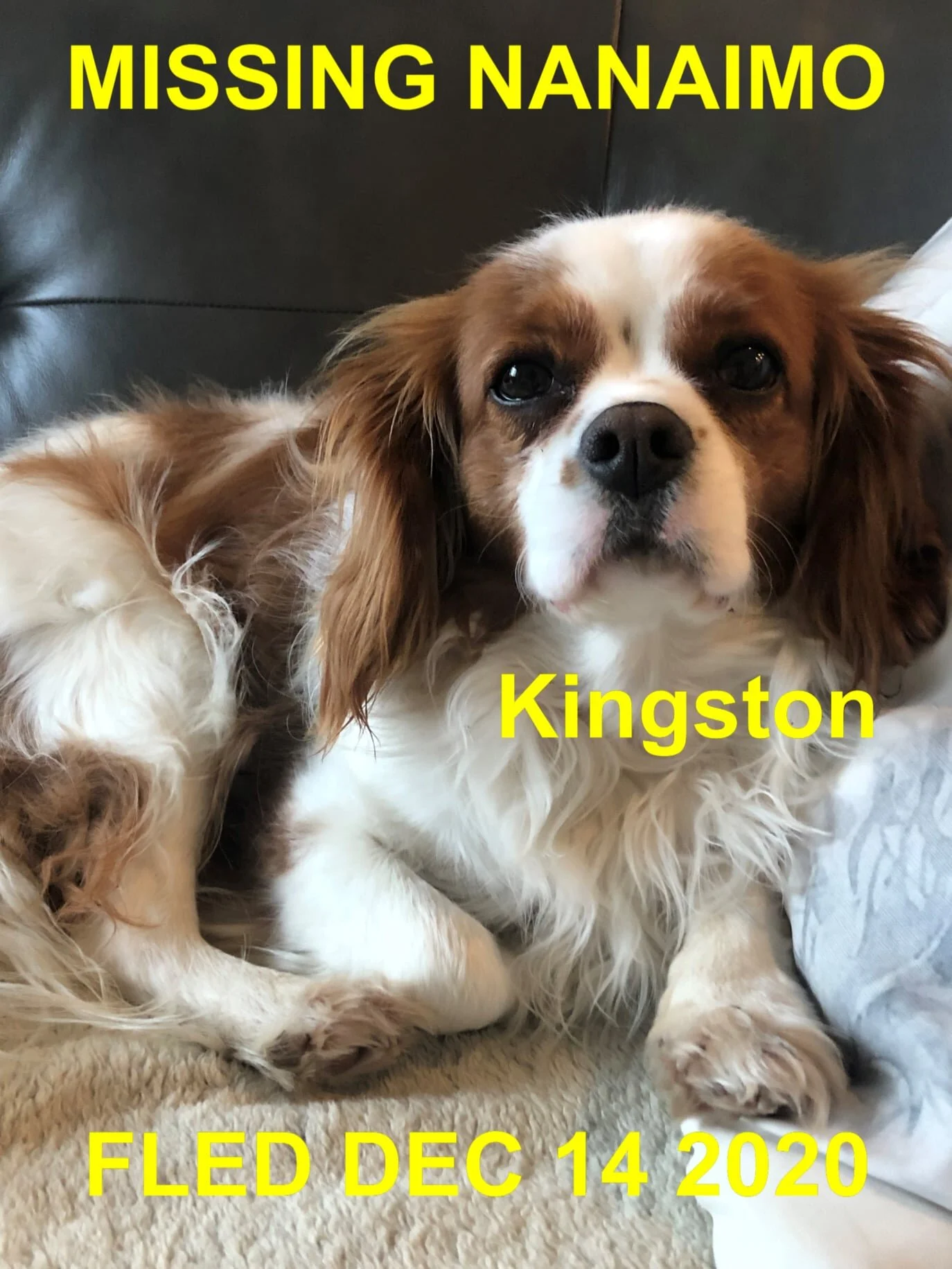 HAPPY ENDINGS - NANAIMO BC - DEC. 14, 2020