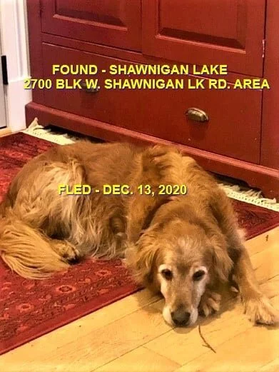 HAPPY ENDINGS - SHAWNIGAN LAKE BC - DEC. 13, 2020