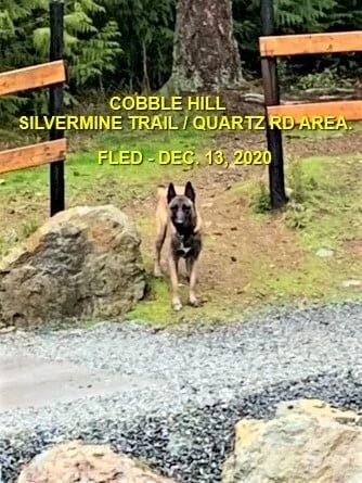 HAPPY ENDINGS - COBBLE HILL BC - DEC 13, 2020