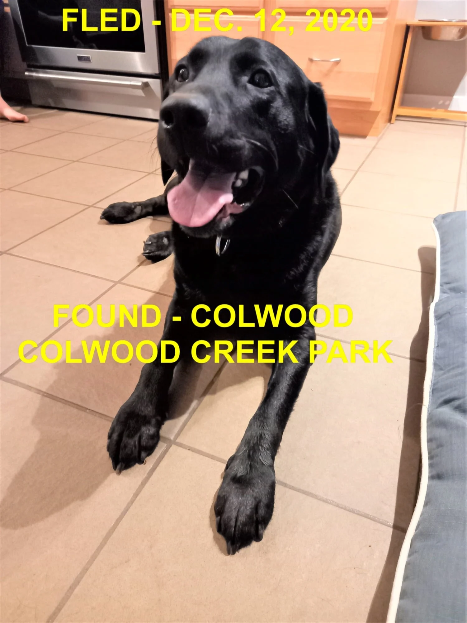 HAPPY ENDINGS - COLWOOD BC - DEC 12, 2020