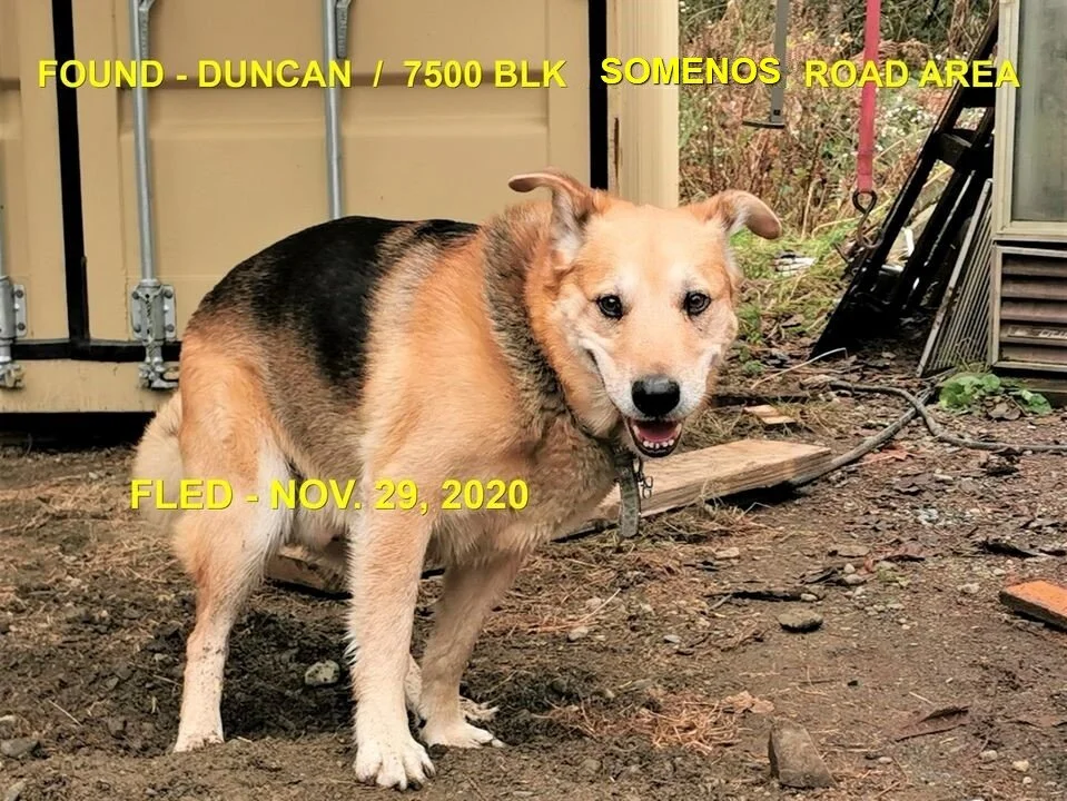 UNRESOLVED - DUNCAN BC - NOV 29, 2020