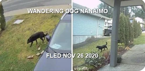UNRESOLVED - NANAIMO BC - NOV. 26, 2020
