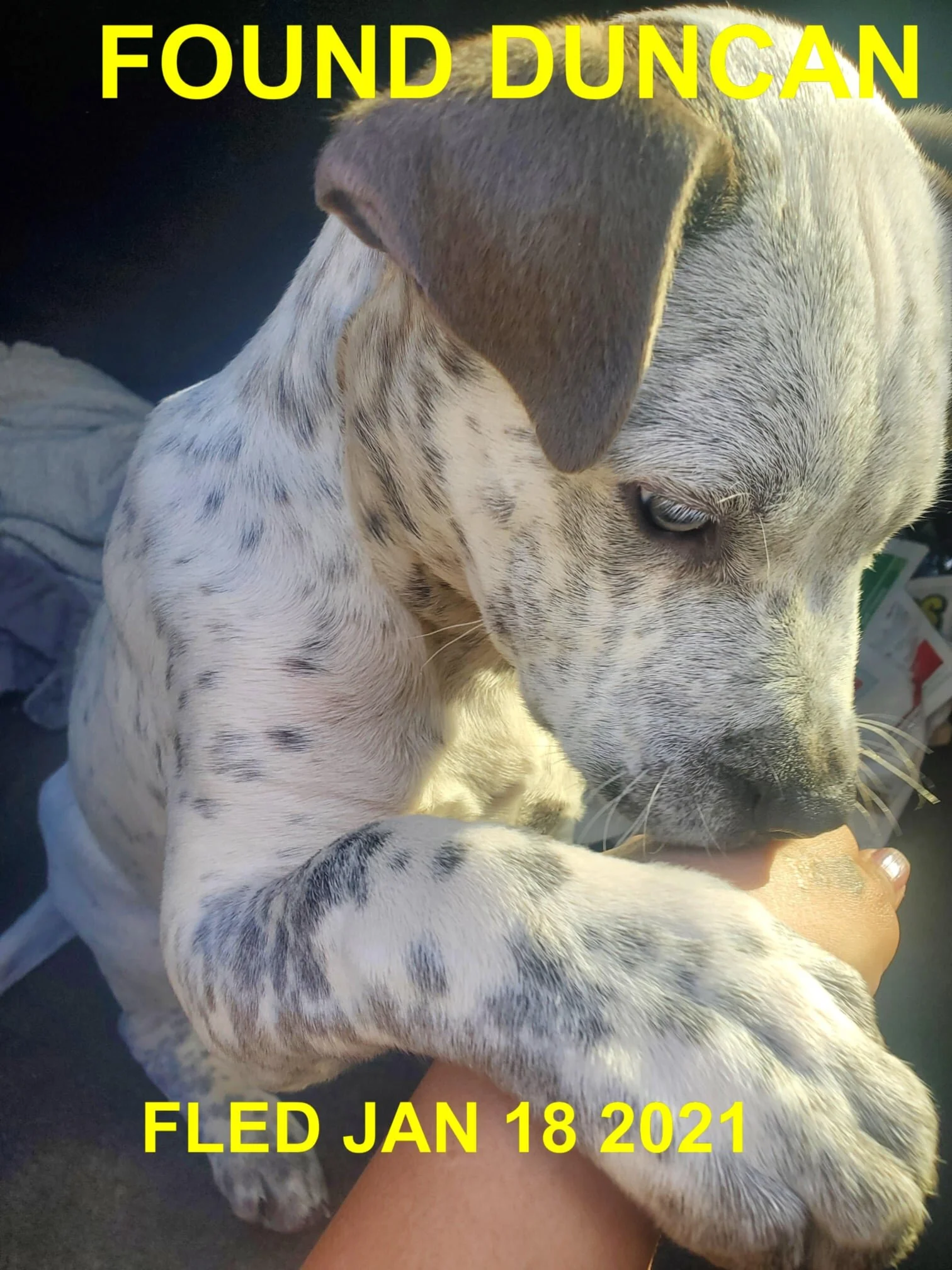 HAPPY ENDINGS - DUNCAN BC - JAN. 18, 2021