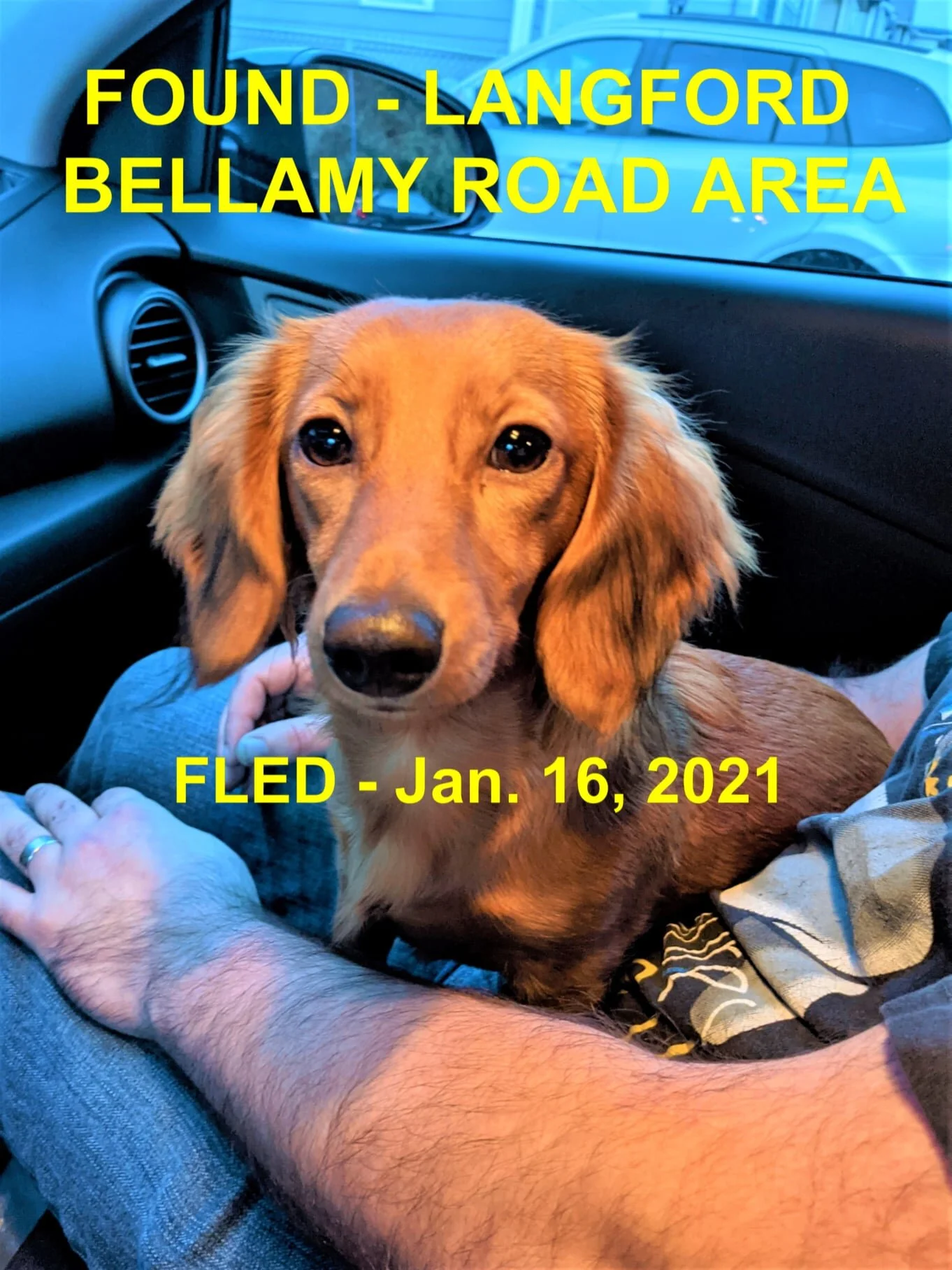 HAPPY ENDINGS - LANGFORD BC - JAN. 16, 2021