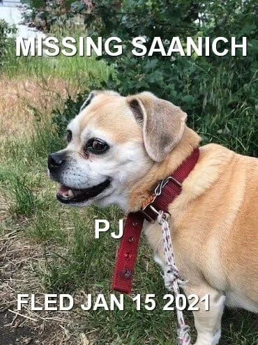 HAPPY ENDINGS - SAANICH BC - JAN 15, 2021