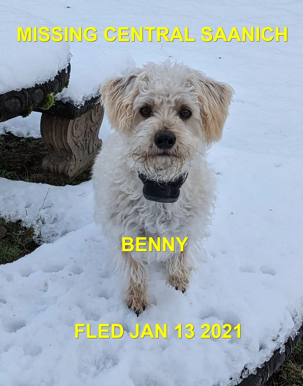 HAPPY ENDINGS - SAANICH BC - JAN 13, 2021