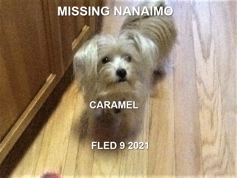 HAPPY ENDINGS - NANAIMO BC - JAN 9, 2021