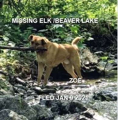 HAPPY ENDINGS - SAANICH BC - JAN 9, 2021