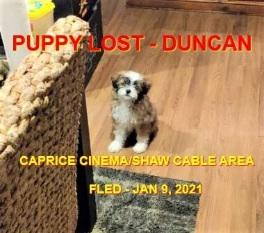 HAPPY ENDINGS - DUNCAN BC - JAN 9, 2021