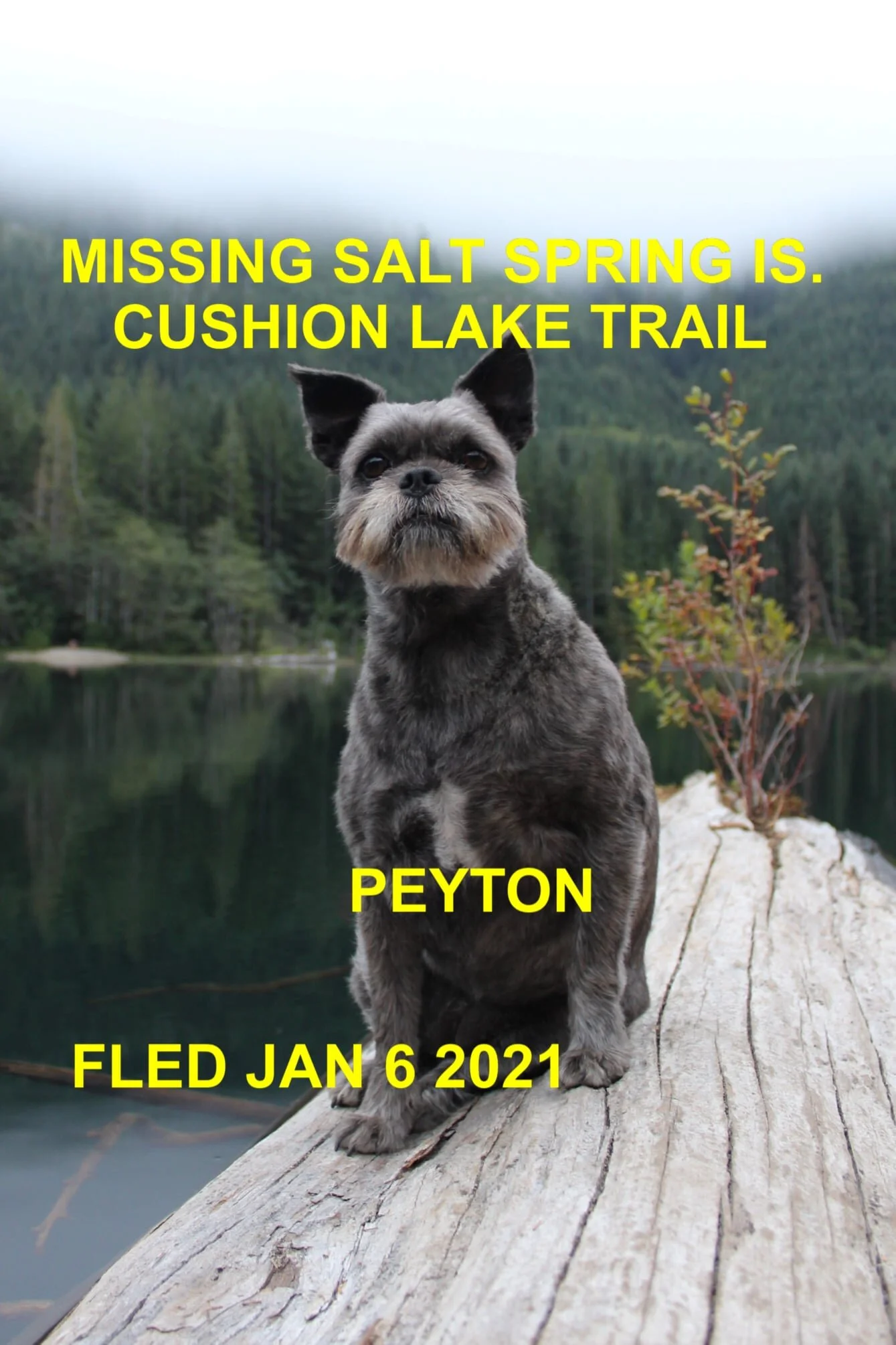 HAPPY ENDINGS - SALT SPRING ISLAND BC - JAN 6, 2021