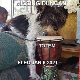 HAPPY ENDINGS - DUNCAN BC - JAN 6, 2021