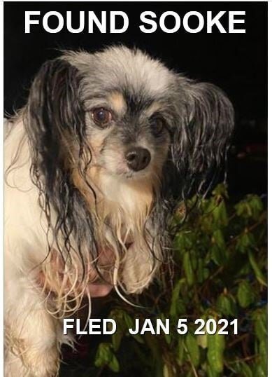 HAPPY ENDINGS - SOOKE BC - JAN 5, 2021