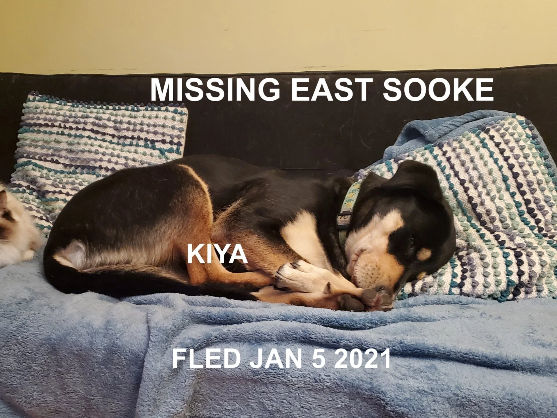 HAPPY ENDINGS - EAST SOOKE BC - JAN 5, 2021