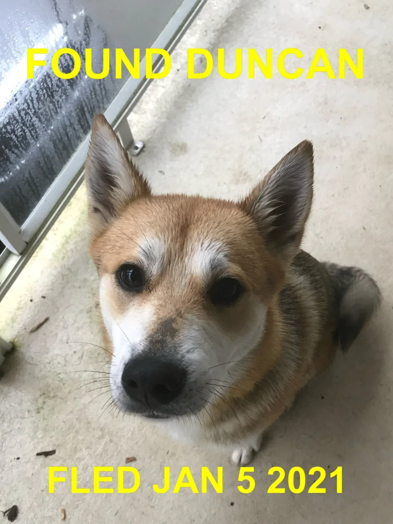 GONE TO SHELTER - DUNCAN BC - JAN 5, 2021