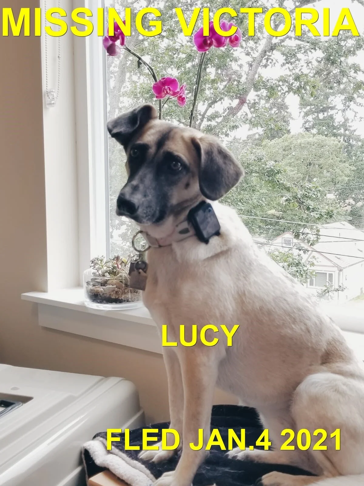 HAPPY ENDINGS -  VICTORIA BC - JAN 4, 2021