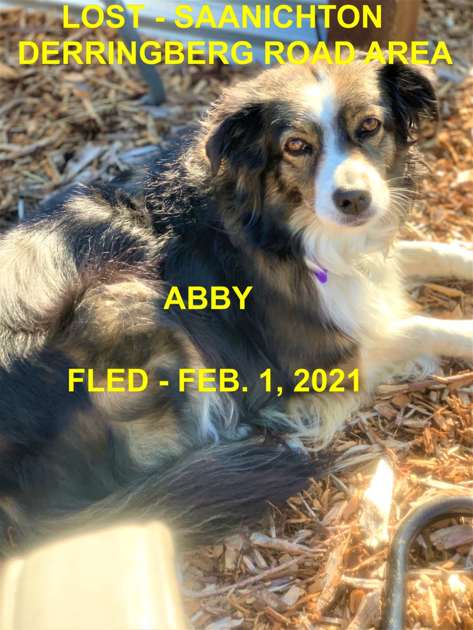 HAPPY ENDINGS - SAANICHTON BC - FEB. 1, 2021