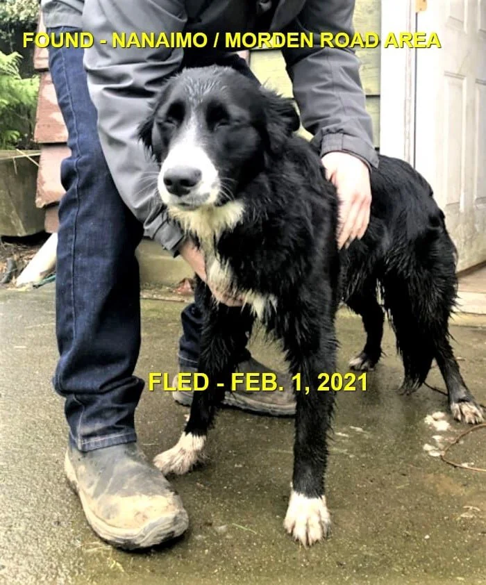 HAPPY ENDINGS - NANAIMO BC - FEB. 1, 2021