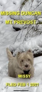 HAPPY ENDINGS - DUNCAN BC - FEB. 1, 2021