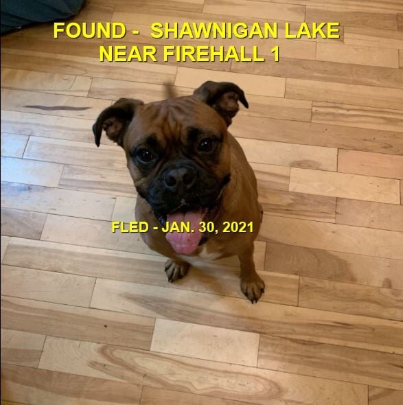 HAPPY ENDINGS - SHAWNIGAN LAKE BC - JAN. 30, 2021