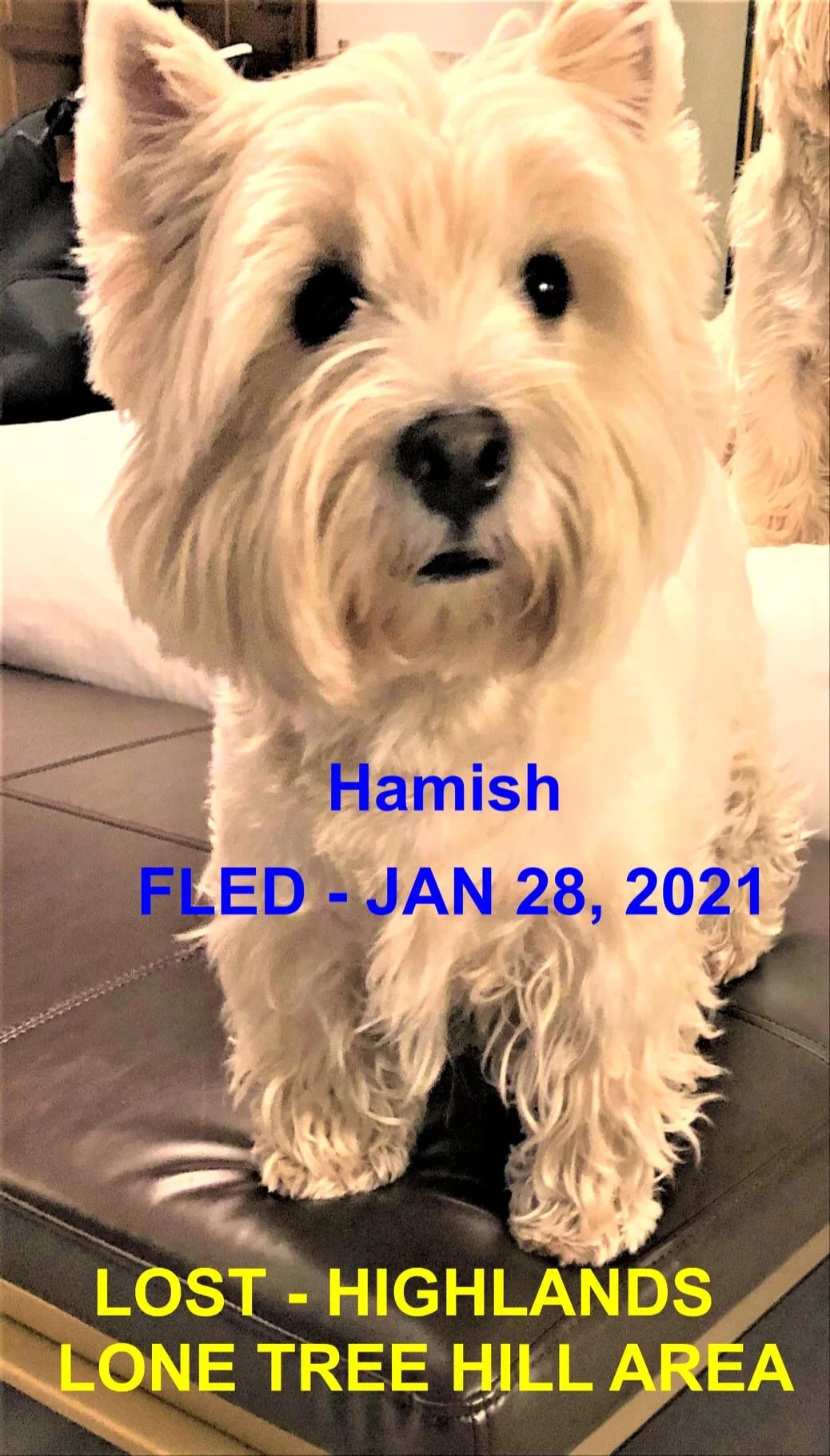 HAPPY ENDINGS - HIGHLANDS BC - JAN. 28, 2021