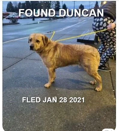 GONE TO SHELTER - DUNCAN BC - JAN 28, 2021