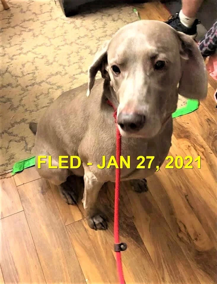 HAPPY ENDINGS - METCHOSIN BC - JAN 27, 2021