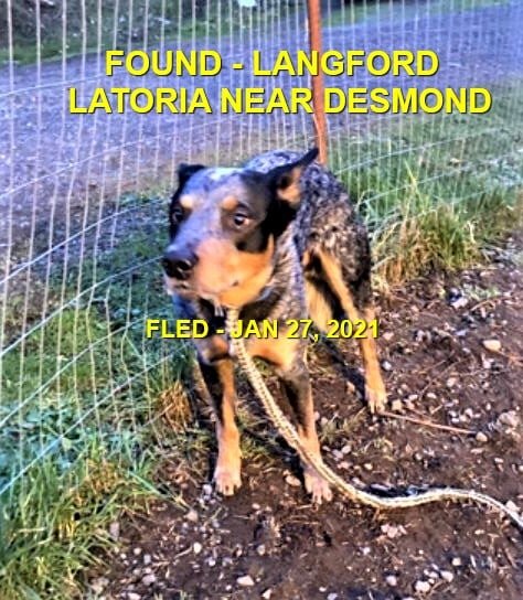 HAPPY ENDINGS - LANGFORD BC - JAN. 27, 2021