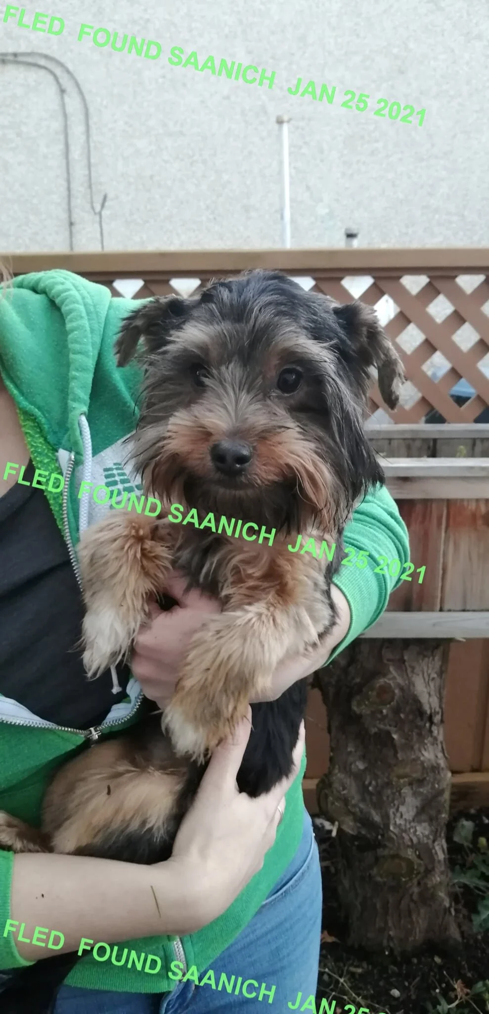 HAPPY ENDINGS - GORDON HEAD BC - JAN 25, 2021