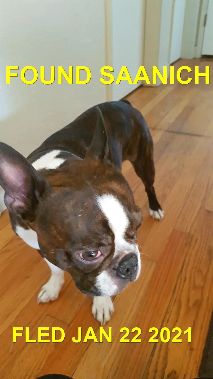 HAPPY ENDINGS - SAANICH BC - JAN 22, 2021