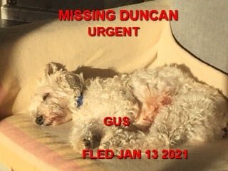 STILL MISSING - DUNCAN BC - JAN 13, 2021