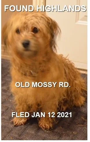 HAPPY ENDINGS- HIGHLANDS BC - JAN 12, 2021