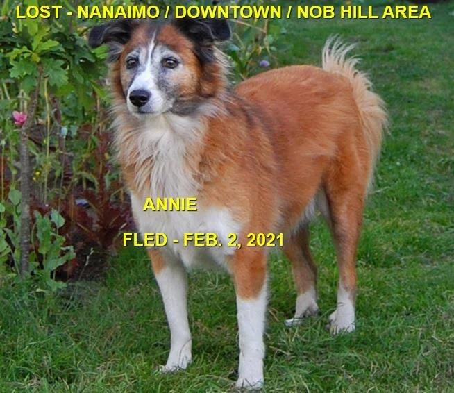 HAPPY ENDINGS - NANAIMO BC - FEB 2, 2021