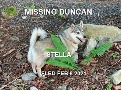 HAPPY ENDINGS - DUNCAN BC - FEB 8. 2021