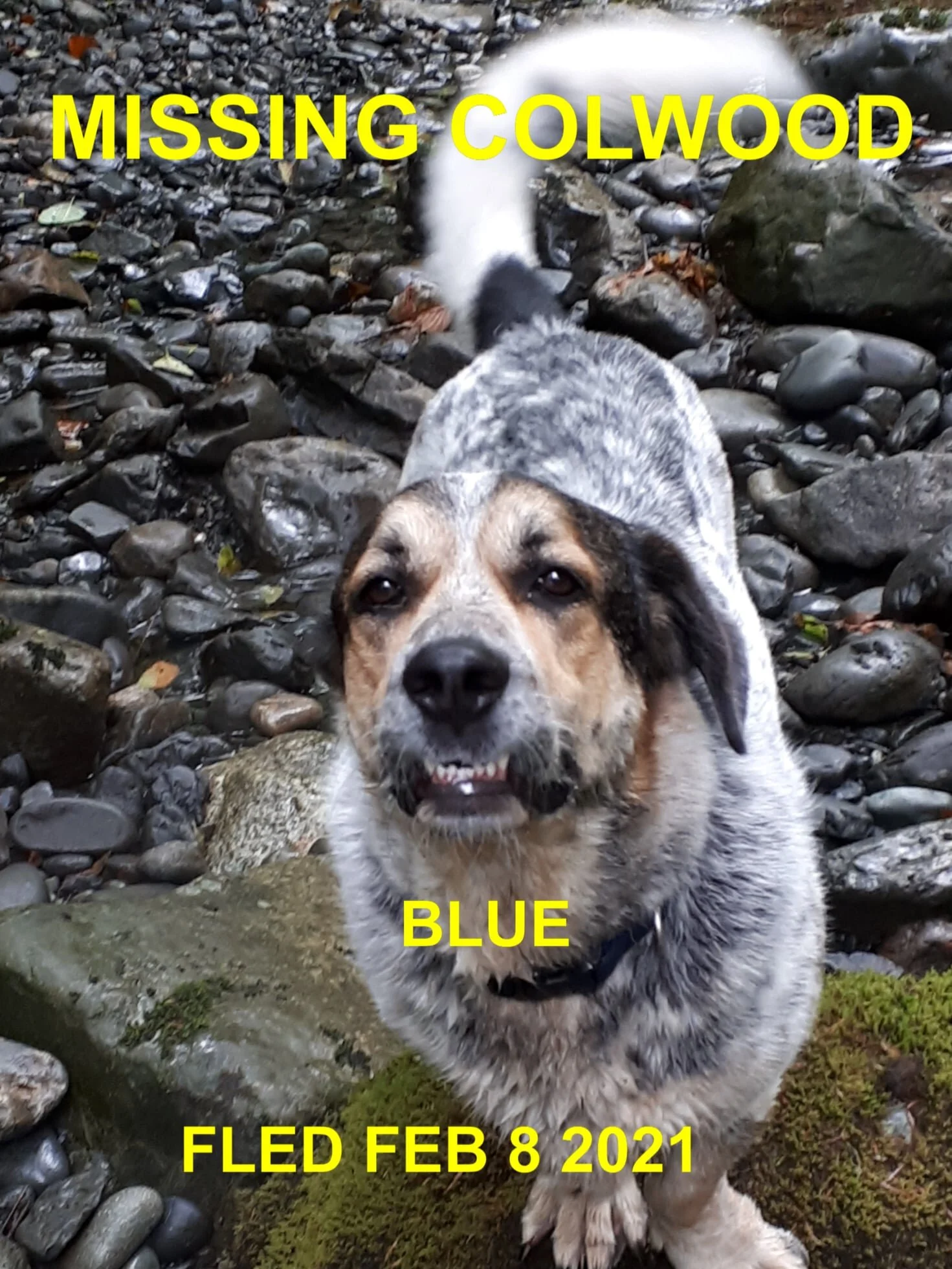 HAPPY ENDINGS - COLWOOD BC - FEB 8, 2021