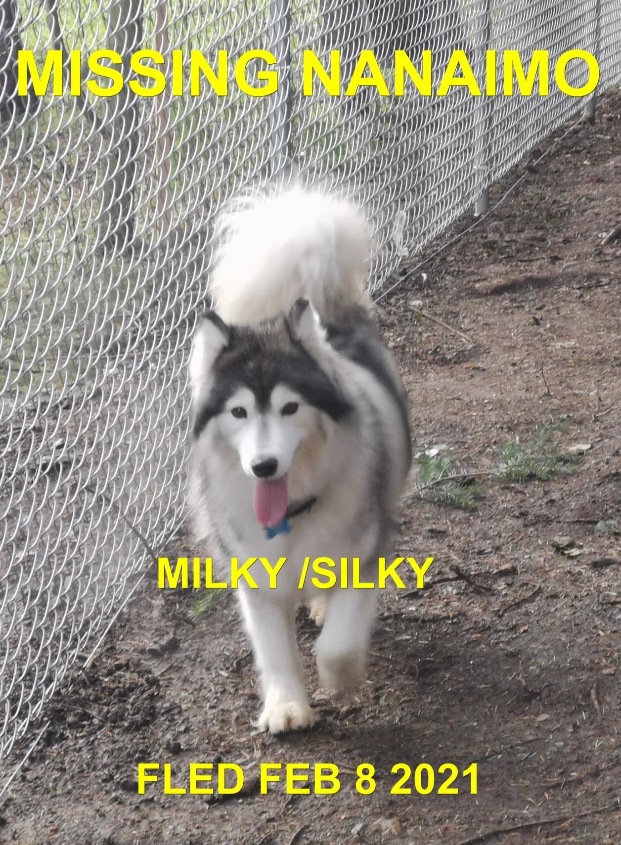 HAPPY ENDINGS - NANAIMO BC - FEB 8, 2021