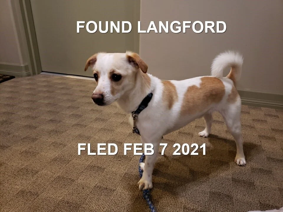 HAPPY ENDINGS - LANGFORD BC - FEB 7, 2021