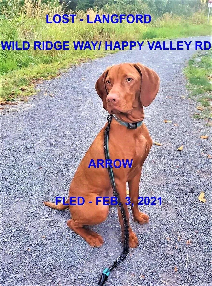 HAPPY ENDINGS - LANGFORD BC - FEB 3, 2021